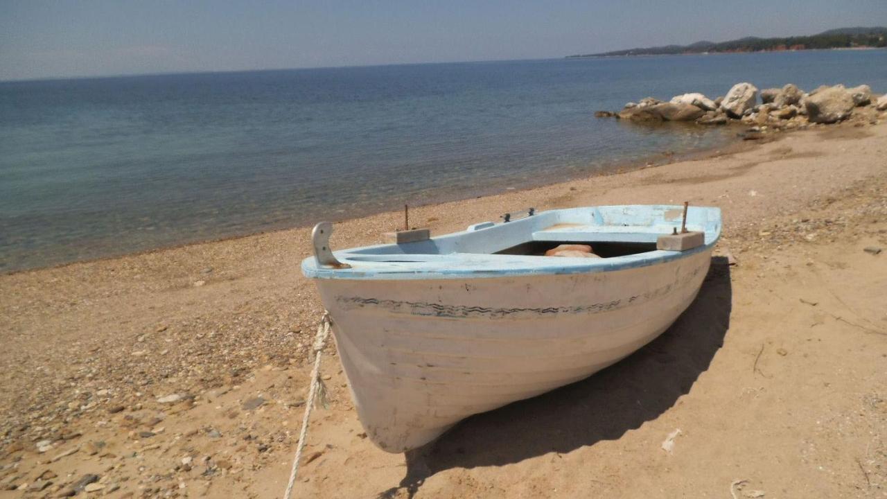 Finikas Garden Beach Resort Nikiti Exterior foto